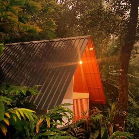 Munnar Home Stay Teadrops Plantation Villa Luaran gambar