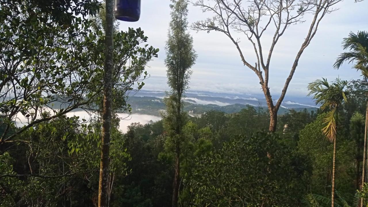 Munnar Home Stay Teadrops Plantation Villa Luaran gambar