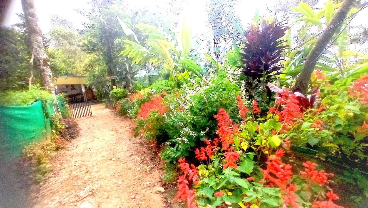 Munnar Home Stay Teadrops Plantation Villa Luaran gambar