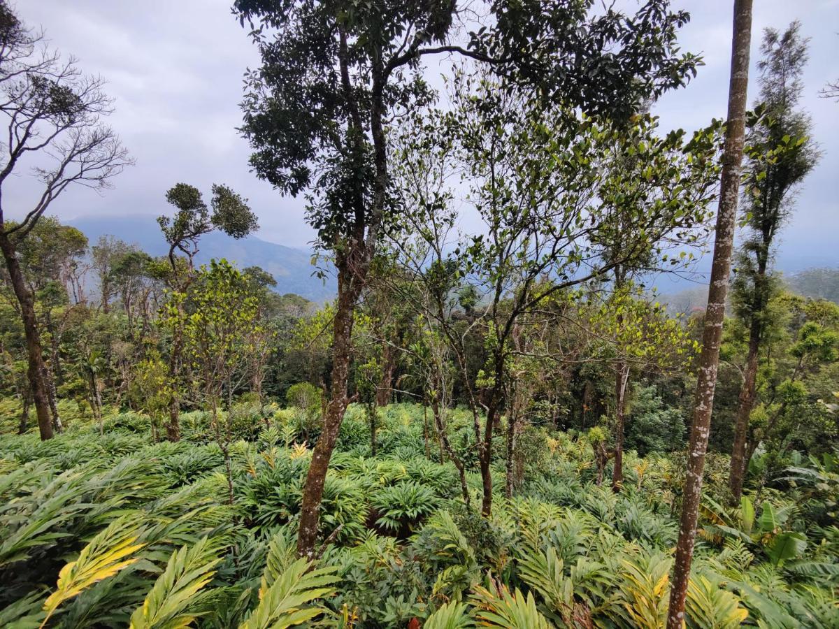 Munnar Home Stay Teadrops Plantation Villa Luaran gambar