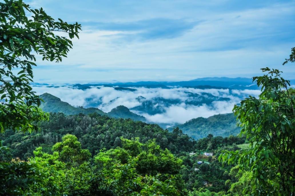 Munnar Home Stay Teadrops Plantation Villa Luaran gambar