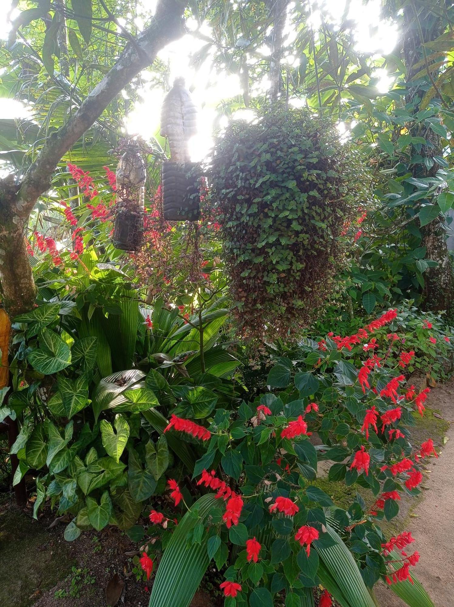 Munnar Home Stay Teadrops Plantation Villa Luaran gambar