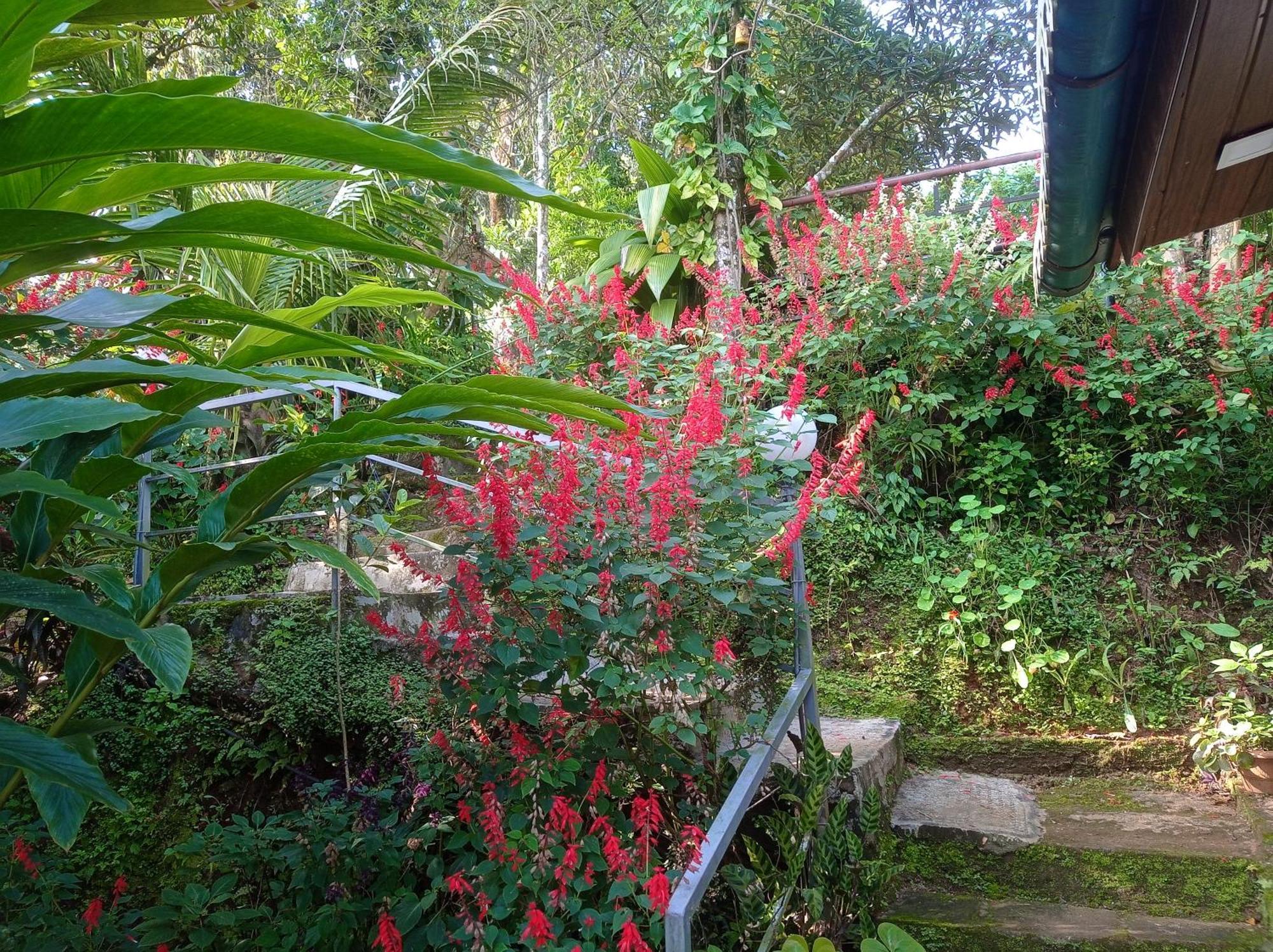 Munnar Home Stay Teadrops Plantation Villa Luaran gambar