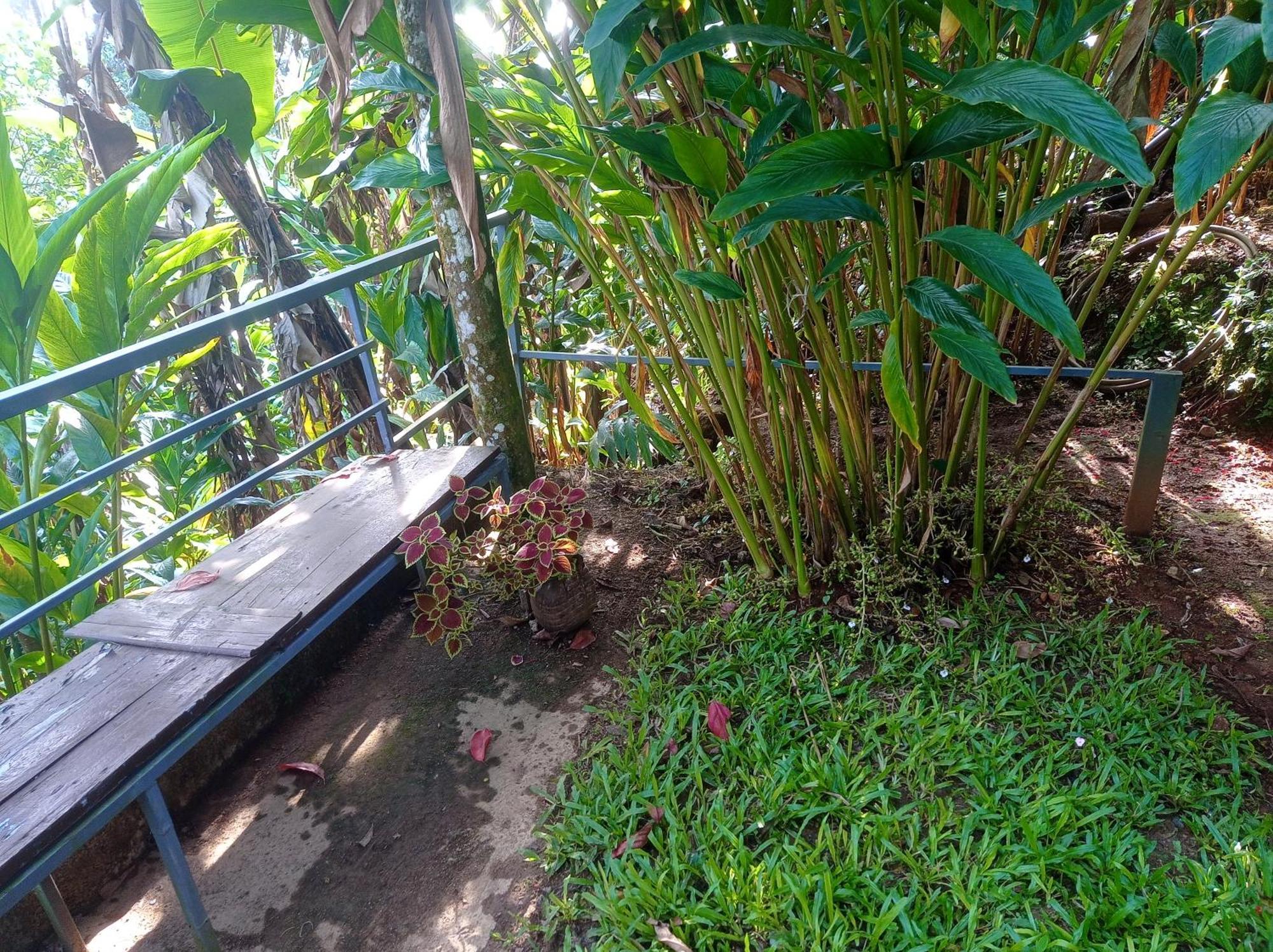 Munnar Home Stay Teadrops Plantation Villa Luaran gambar