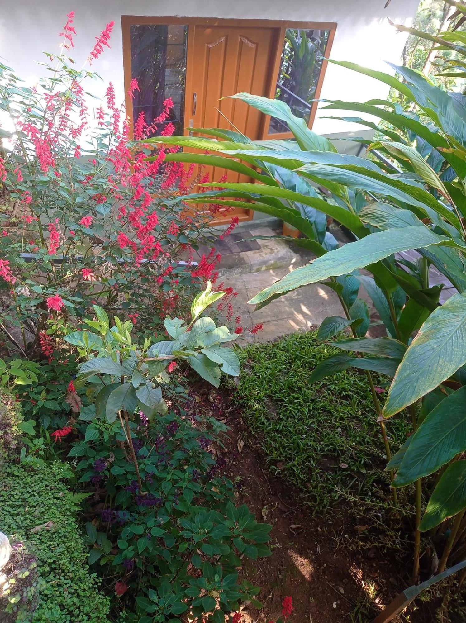 Munnar Home Stay Teadrops Plantation Villa Luaran gambar