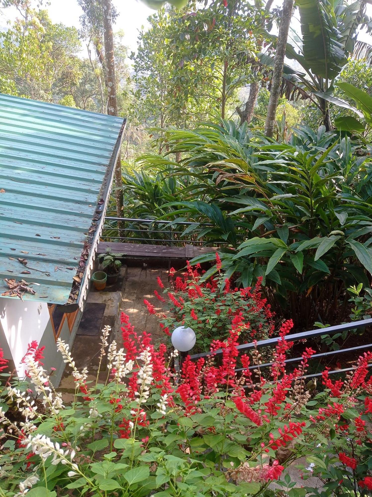 Munnar Home Stay Teadrops Plantation Villa Luaran gambar