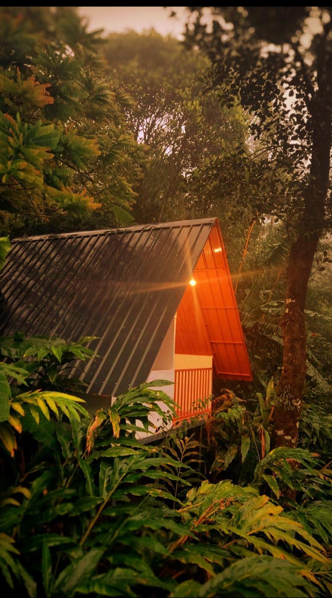 Munnar Home Stay Teadrops Plantation Villa Luaran gambar